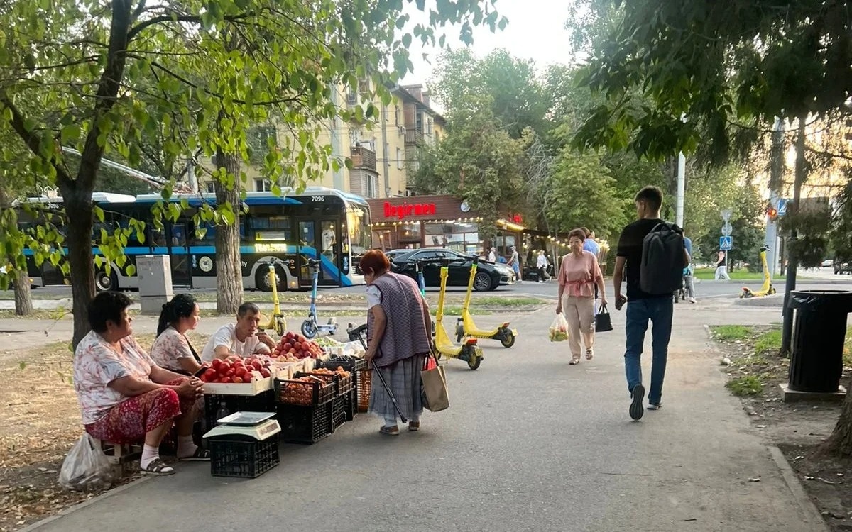 Контроль-за-стихийной-торговлей-в-Алматы-усилят