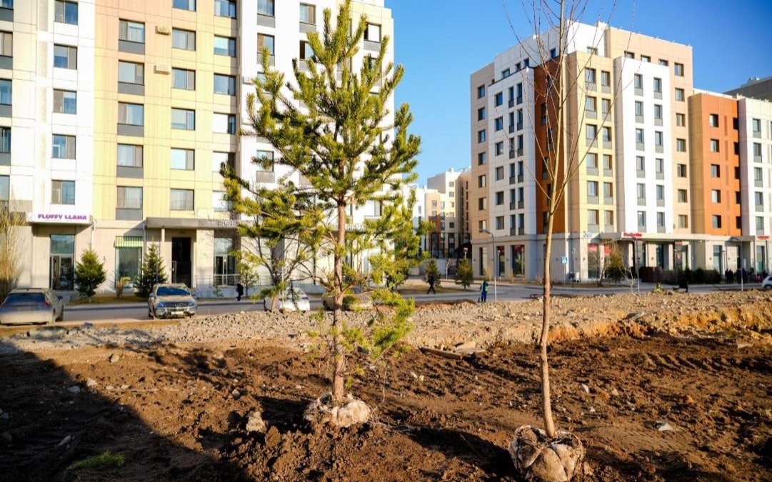 В-Астане-высадят-около-миллиона-деревьев-и-кустарников