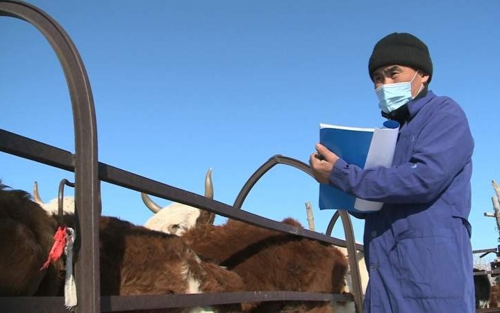 В-Казахстане-намерены-создать-ветеринарный-статуарный-орган