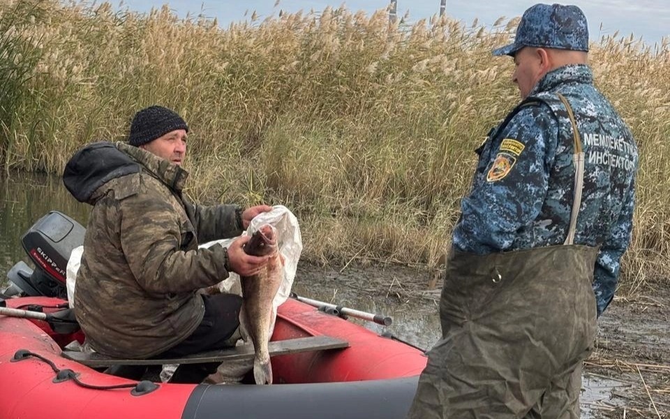 Временный-запрет-на-рыбную-ловлю:-что-изменится-в-этом-году