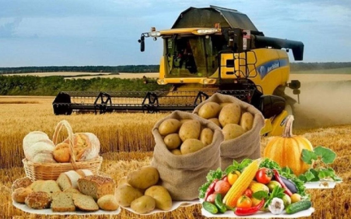 Масло,-сыр-и-сладости:-производство-продуктов-выросло-на-11,9%-в-РК