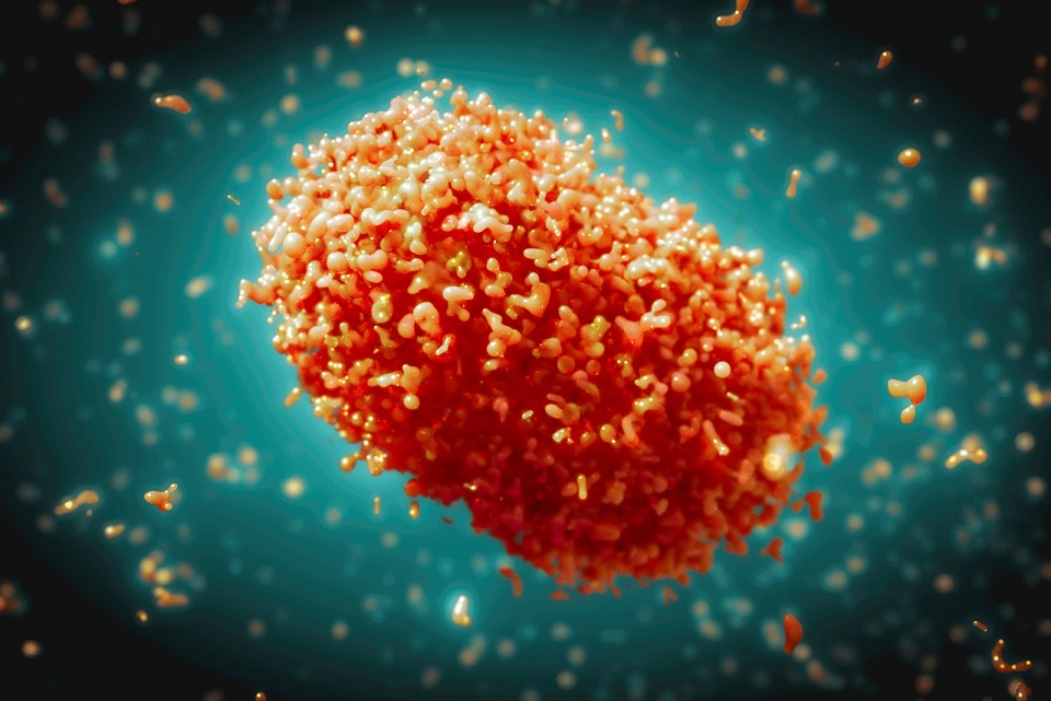 Лабораторная диагностика оспы обезьян (mpox)