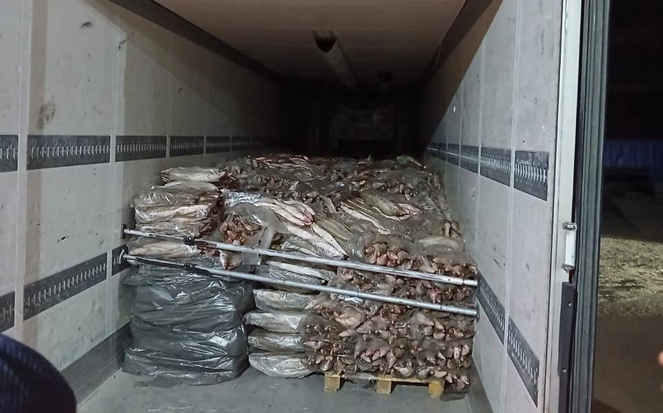 Полицейские осматривают изъятую рыбную продукцию в кузове грузовика в Атырауской области