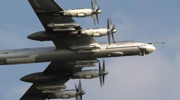 Стратегический ракетоносец Ту-95, разбившийся в Амурской области
