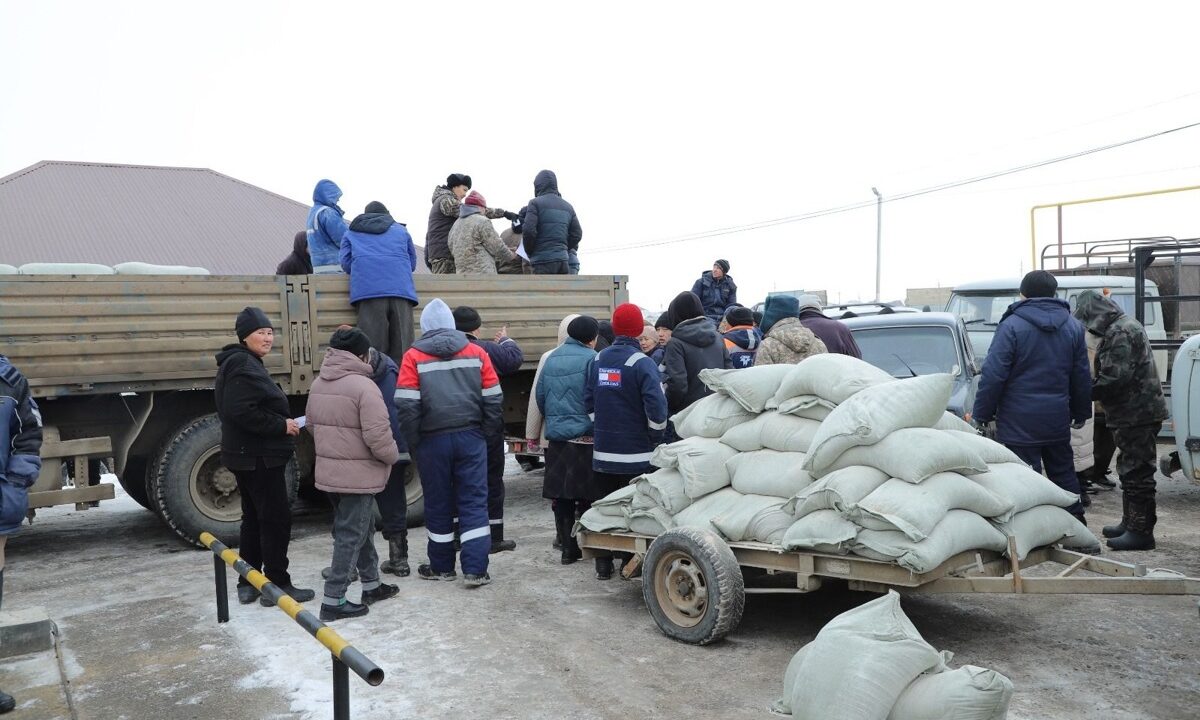 Крупный рогатый скот в хозяйстве Атырауской области