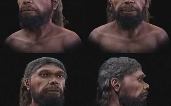 Учёные воссоздали лицо Homo sapiens возрастом 315 тысяч лет