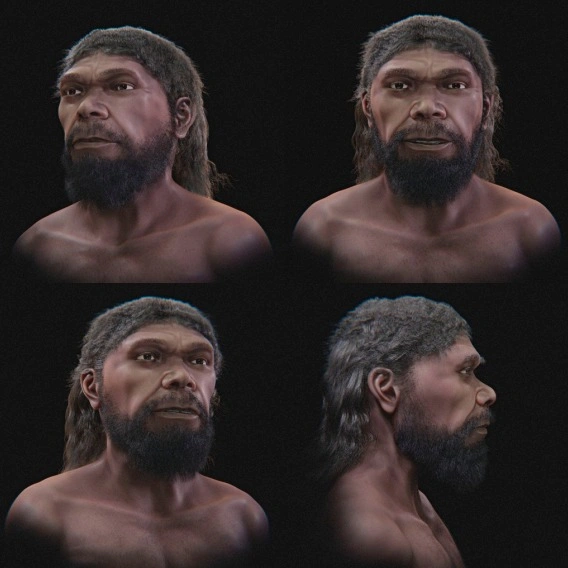 Цифровая реконструкция Homo sapiens по составному черепу из марокканской пещеры Джебель-Ирхуд