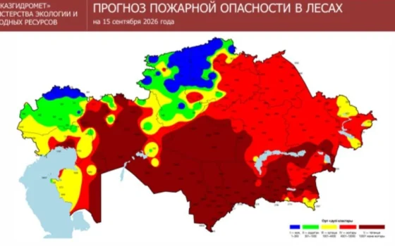 Три лесных пожара тушат в ВКО и Карагандинской области