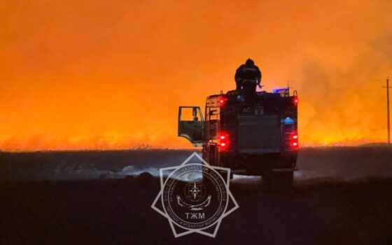 Пожар у свалки под Петропавловском локализовали