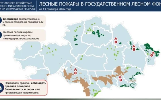 Пять лесных пожаров тушат в пяти регионах Казахстана