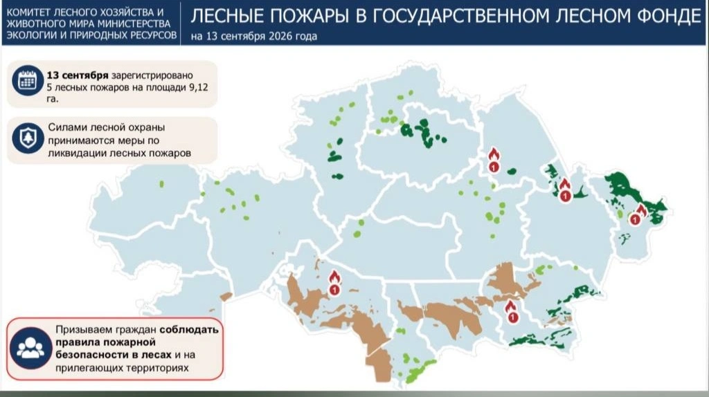 Тушение лесного пожара на территории государственного лесного фонда Казахстана