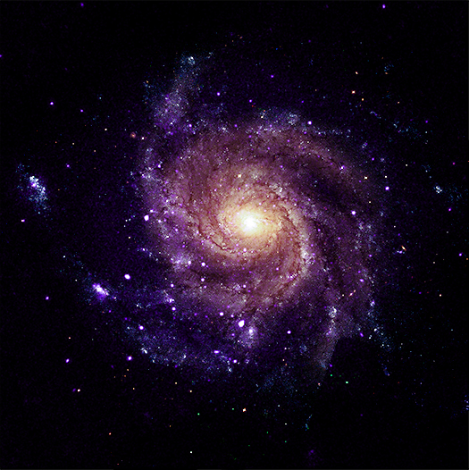 Составное изображение галактики Вертушка M101: рентгеновские данные обсерватории «Чандра» и оптические снимки