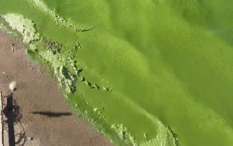 Позеленевшая вода в карьере возле посёлка Желаево под Уральском
