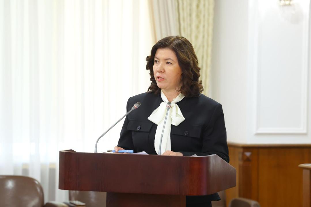 Министр просвещения Жулдыз Сулейменова докладывает на заседании Правительства о развитии инклюзивного образования