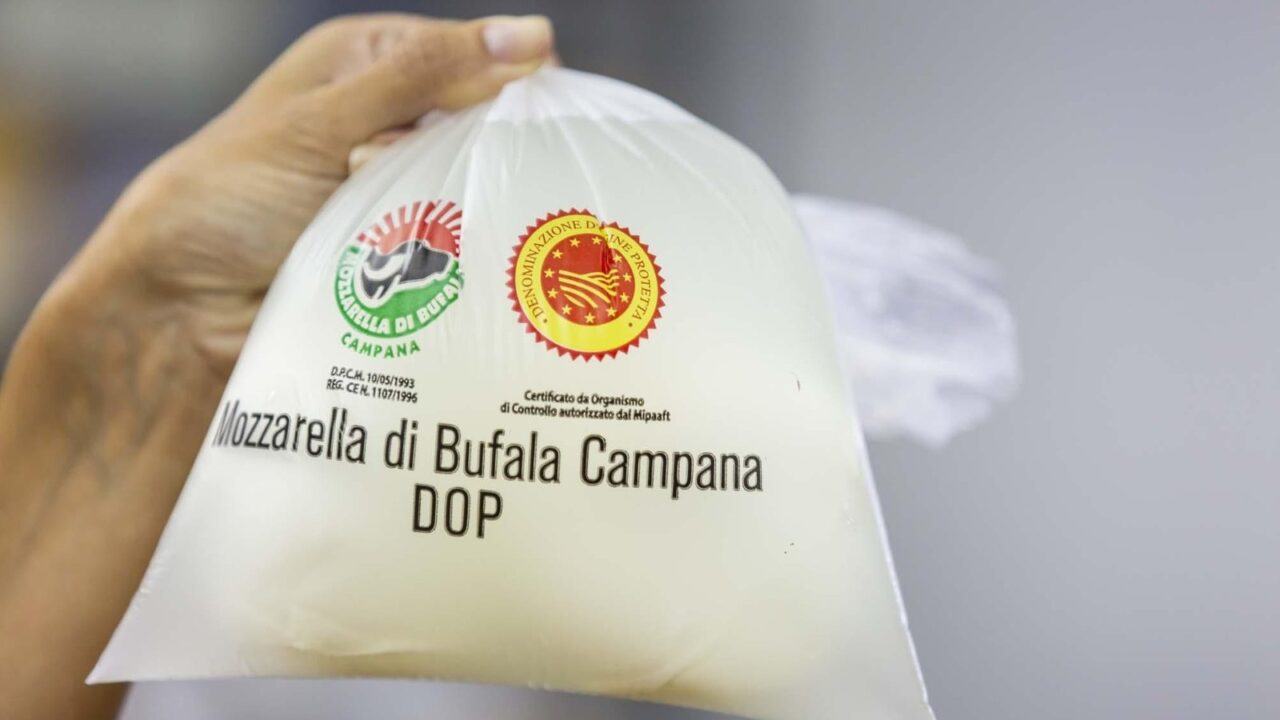 Буйволиная моцарелла Mozzarella di Bufala Campana, выпуск которой остановили протесты дальнобойщиков