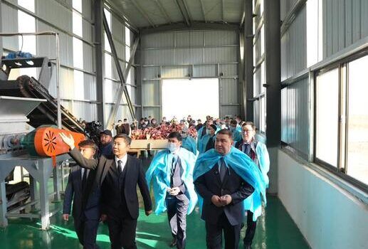 В Туркестанской области открыли завод по переработке костей