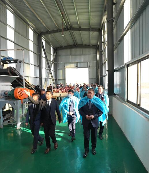 Открытие завода по переработке костей КРС в селе Темирлан Туркестанской области