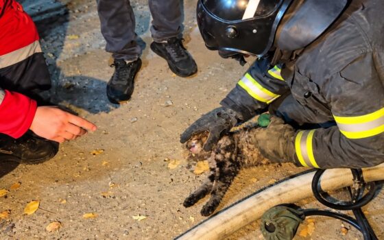 В Сатпаеве из горящей пятиэтажки эвакуировали 14 человек