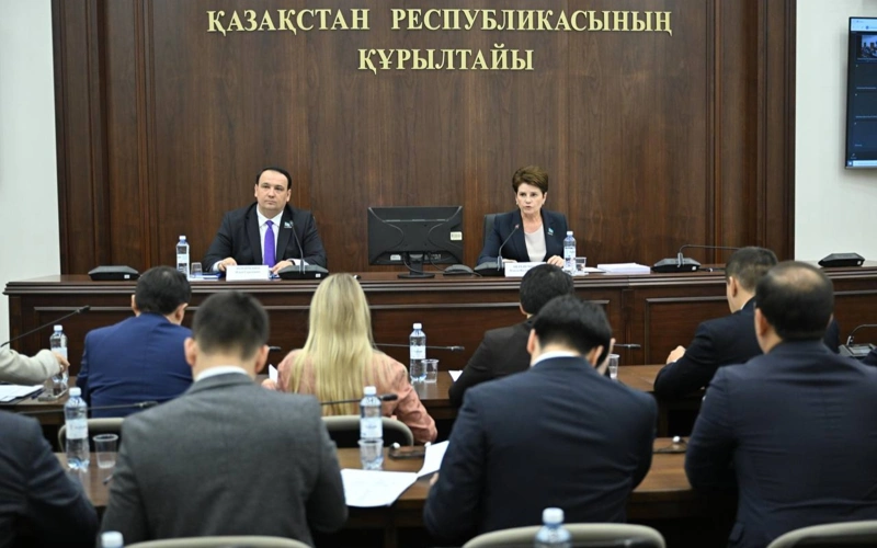 Заседание комитета Курултая, на котором представили законопроект о государственном имуществе