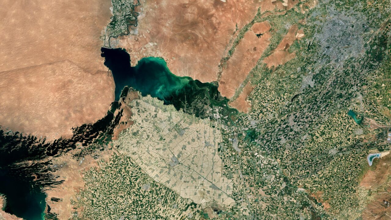 Шардаринское водохранилище и орошаемые поля Мырзашоля на спутниковом снимке Sentinel-2