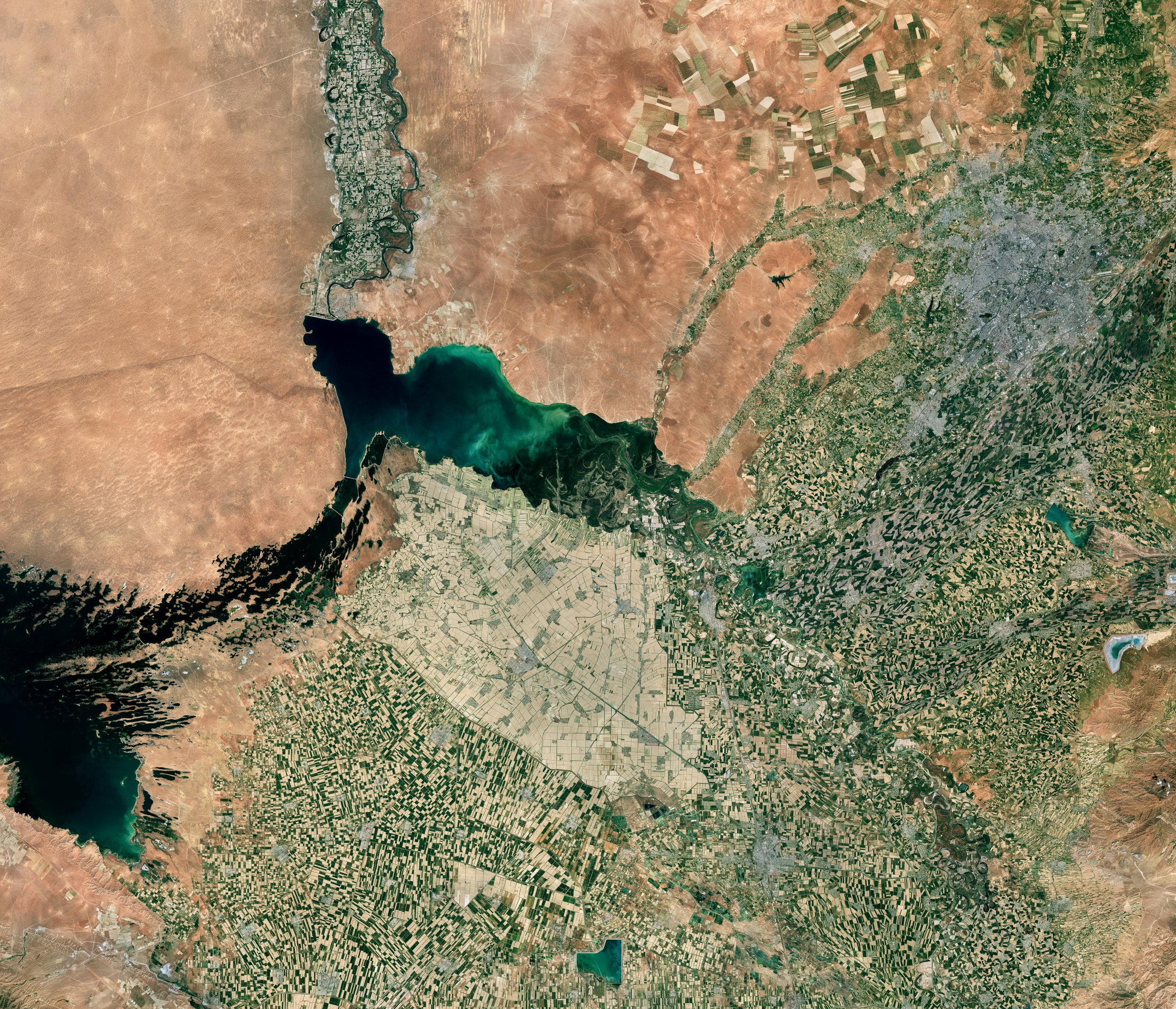 Шардара су қоймасы мен Мырзашөлдің суармалы егістігі Sentinel-2 спутниктік суретінде